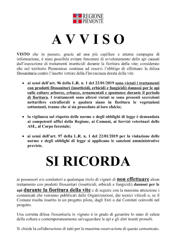 Avviso sulla flavescenza dorata