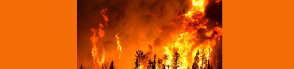 Revoca stato di massima pericolosità per incendi boschivi dal 18.08.2022