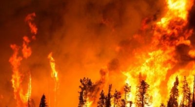 Revoca stato di massima pericolosità per incendi boschivi dal 18.08.2022