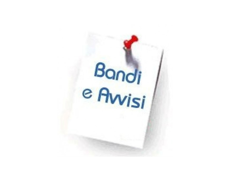 AVVISO PUBBLICO PER LA PRESENTAZIONE DI PROPOSTE PER LA CO-PROGETTAZIONE ENTI TERZO SETTORE PER MICRO-NIDO E ASSISTENZA ALLE AUTONOMIE